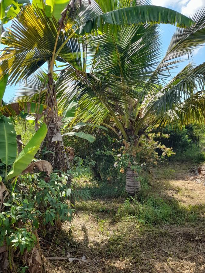 Sítio, 1 quarto, 2 hectares - Foto 21