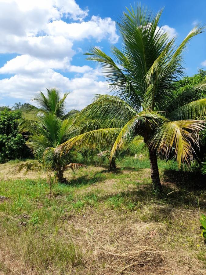 Sítio, 1 quarto, 2 hectares - Foto 22