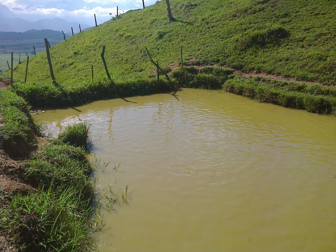 Fazenda, 22 hectares - Foto 6