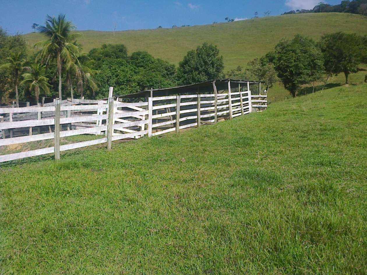 Fazenda, 22 hectares - Foto 2