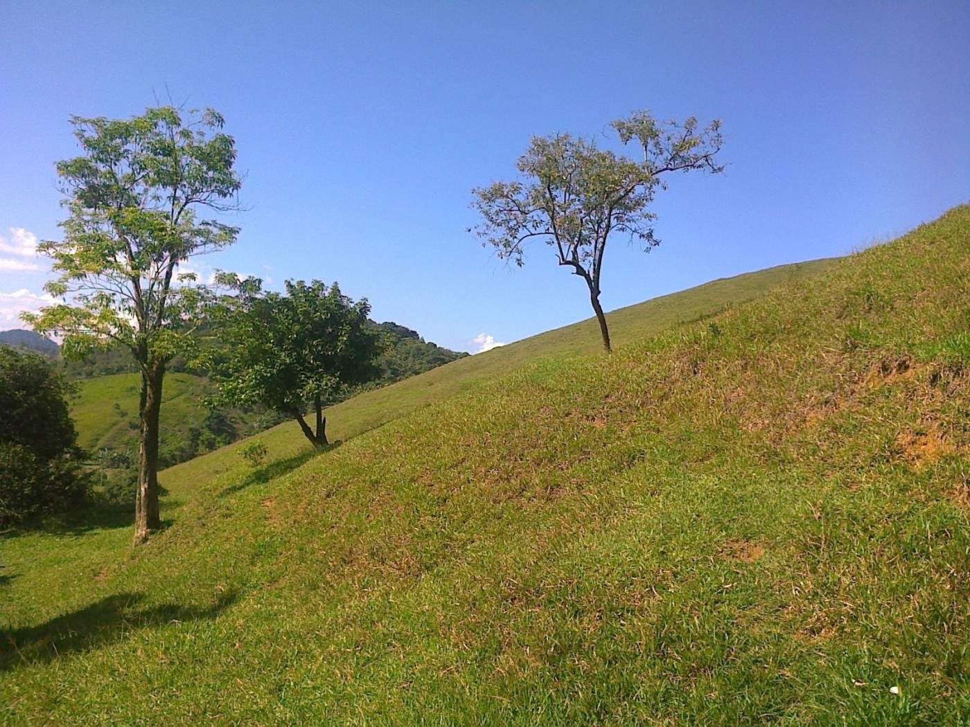 Fazenda, 22 hectares - Foto 11