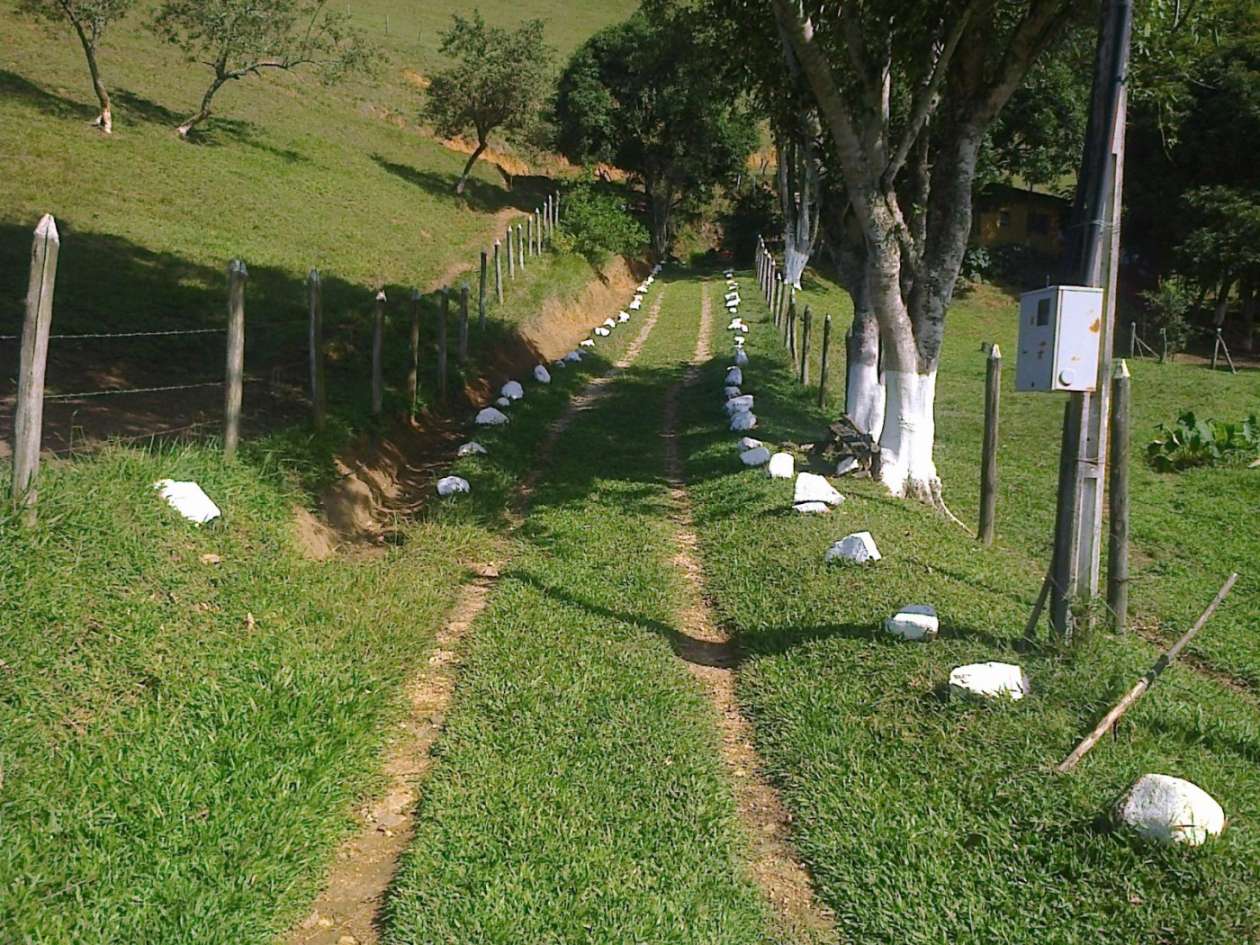 Fazenda, 22 hectares - Foto 12