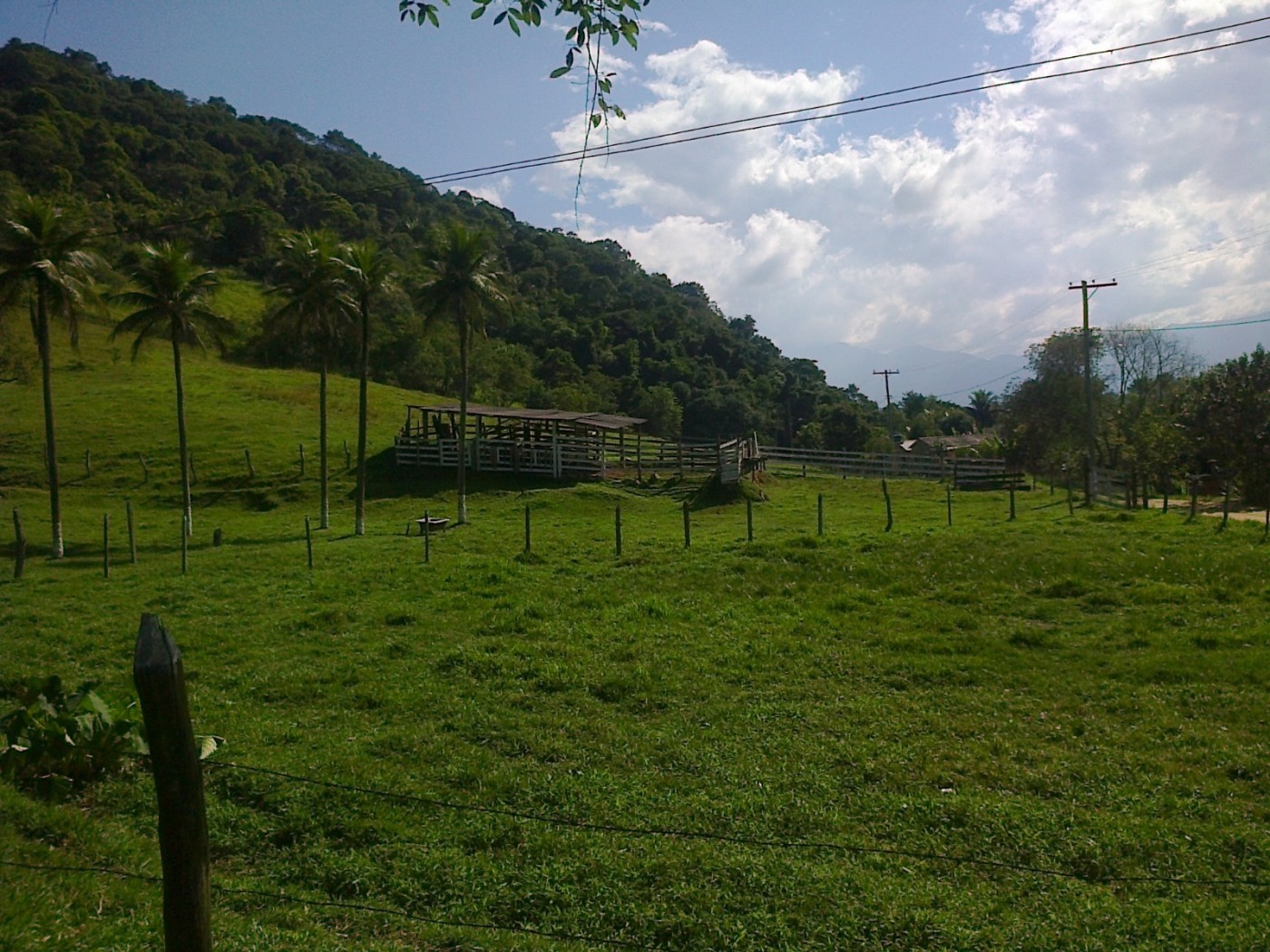 Fazenda, 22 hectares - Foto 14