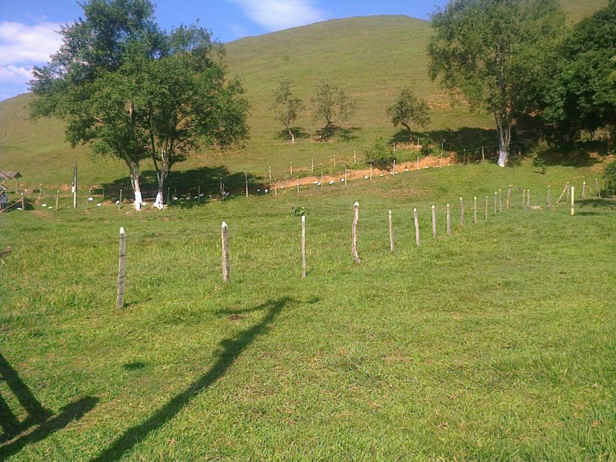 Fazenda, 22 hectares - Foto 4