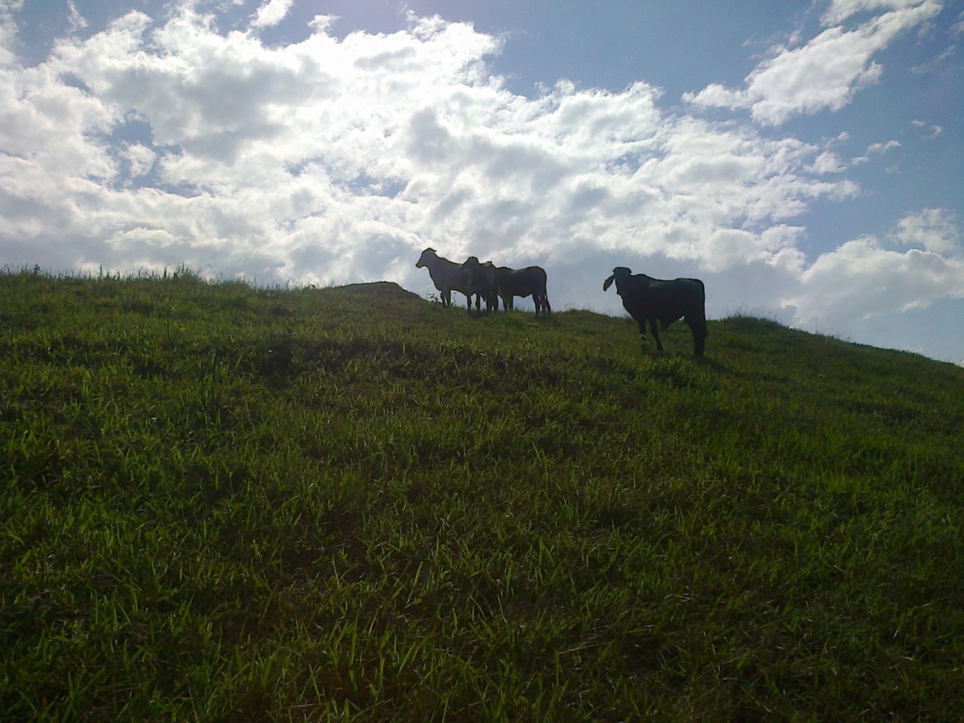 Fazenda, 22 hectares - Foto 17