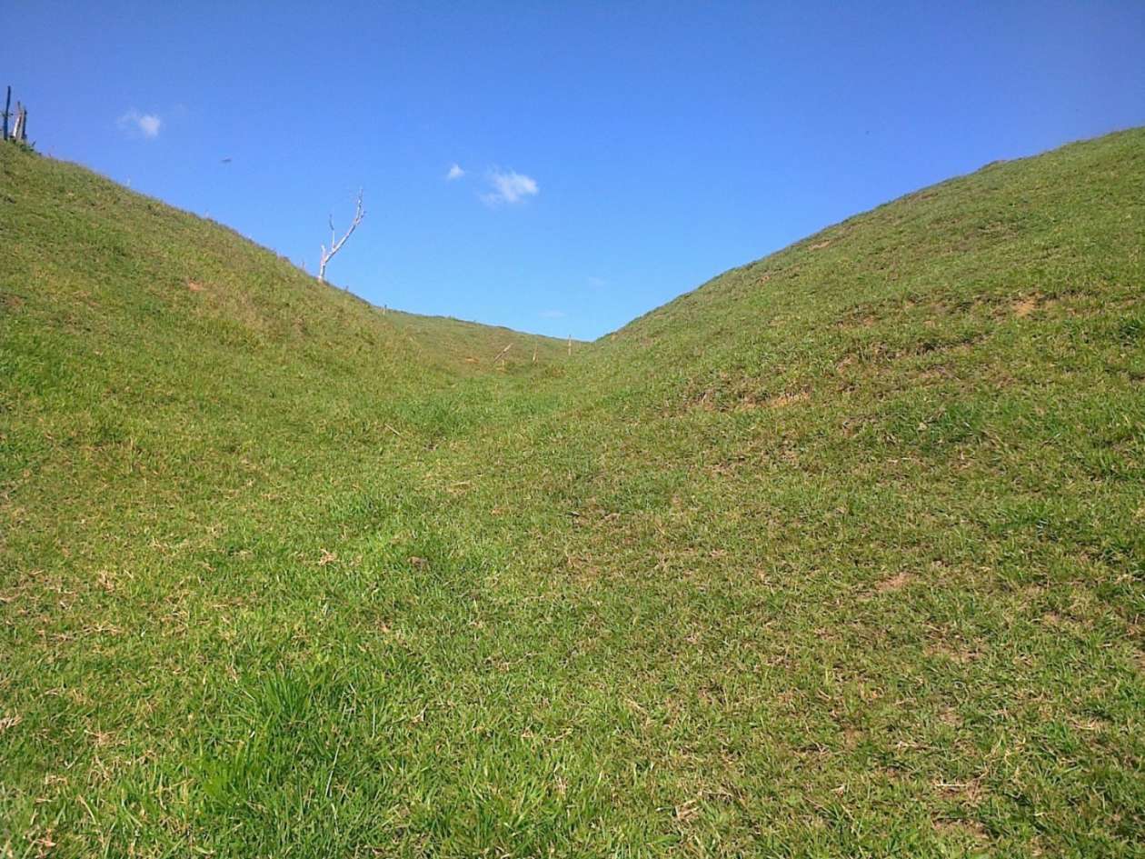 Fazenda, 22 hectares - Foto 19