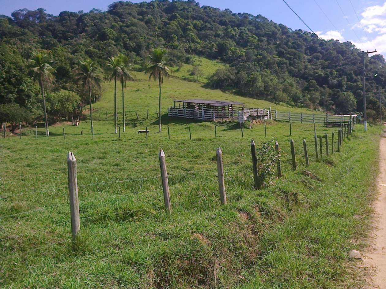 Fazenda, 22 hectares - Foto 24