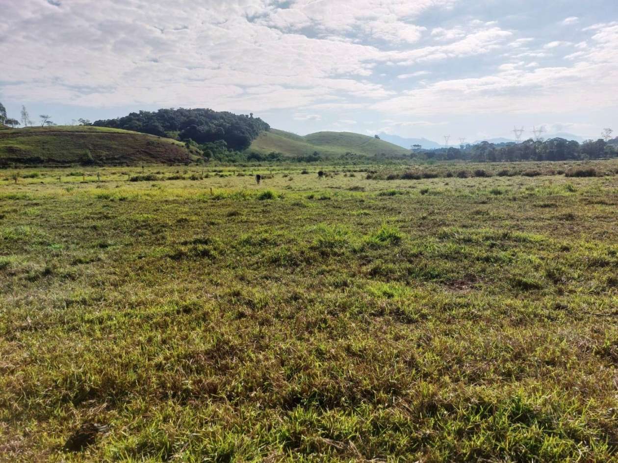 Sítio, 2 quartos, 8 hectares - Foto 6