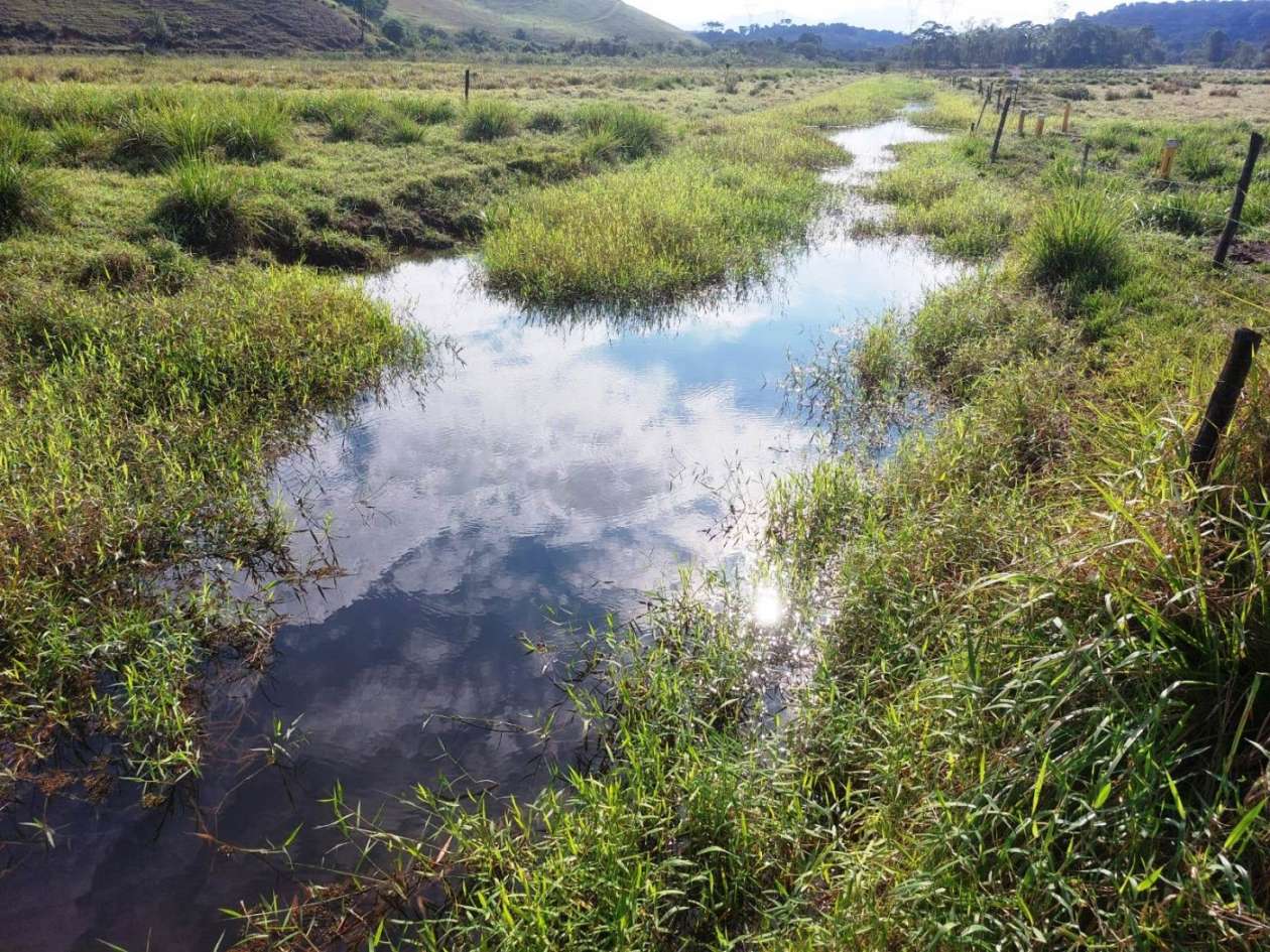 Sítio, 2 quartos, 8 hectares - Foto 8