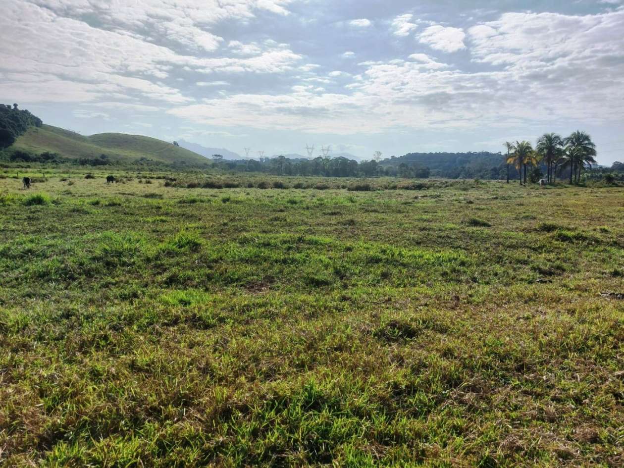 Sítio, 2 quartos, 8 hectares - Foto 7