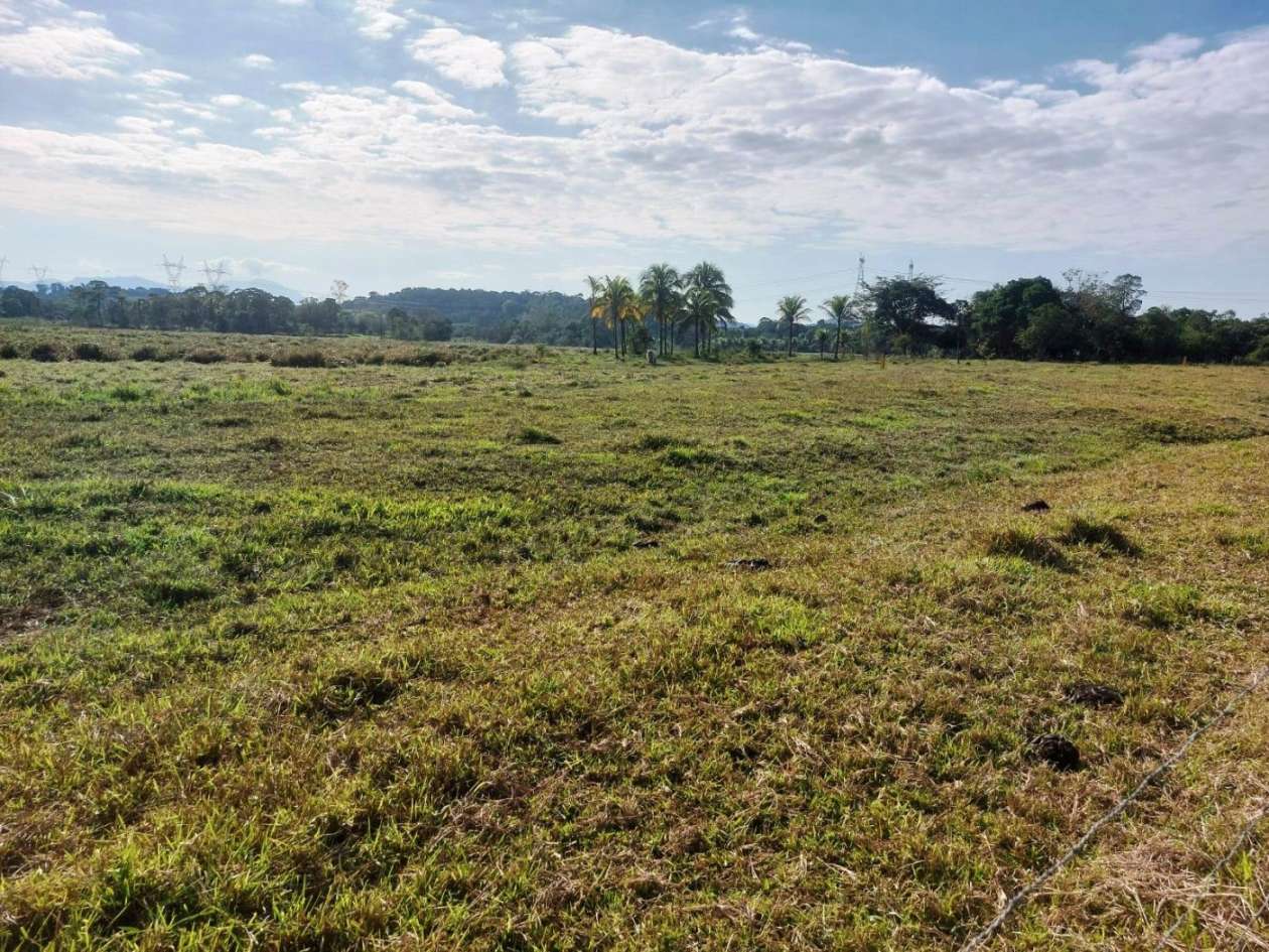 Sítio, 2 quartos, 8 hectares - Foto 9