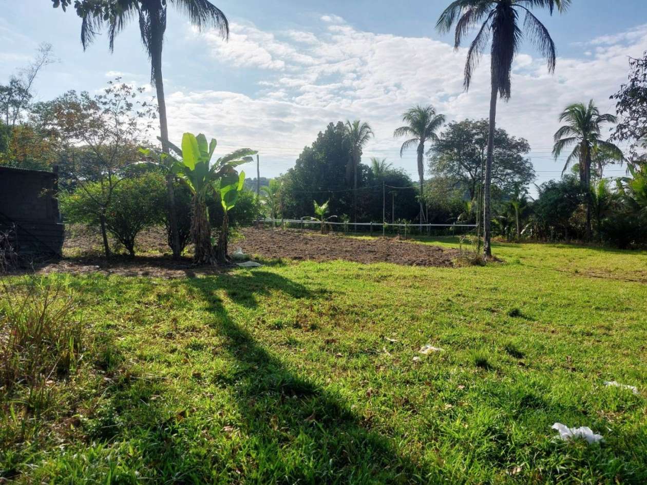 Sítio, 2 quartos, 8 hectares - Foto 11