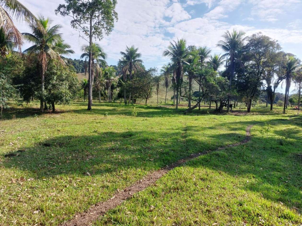 Sítio, 2 quartos, 8 hectares - Foto 13