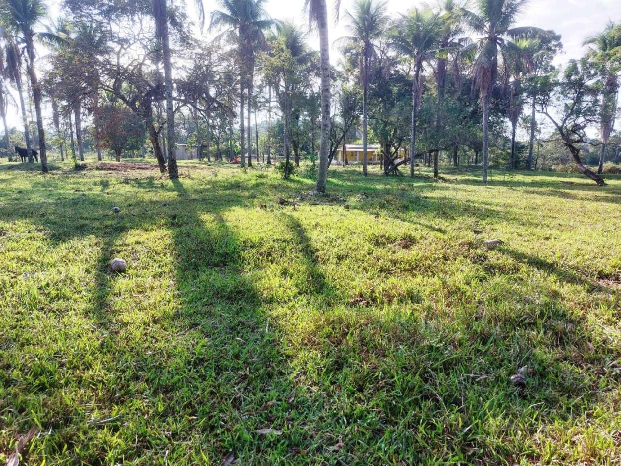 Sítio, 2 quartos, 8 hectares - Foto 16