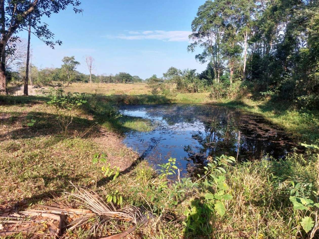 Sítio, 2 quartos, 8 hectares - Foto 15