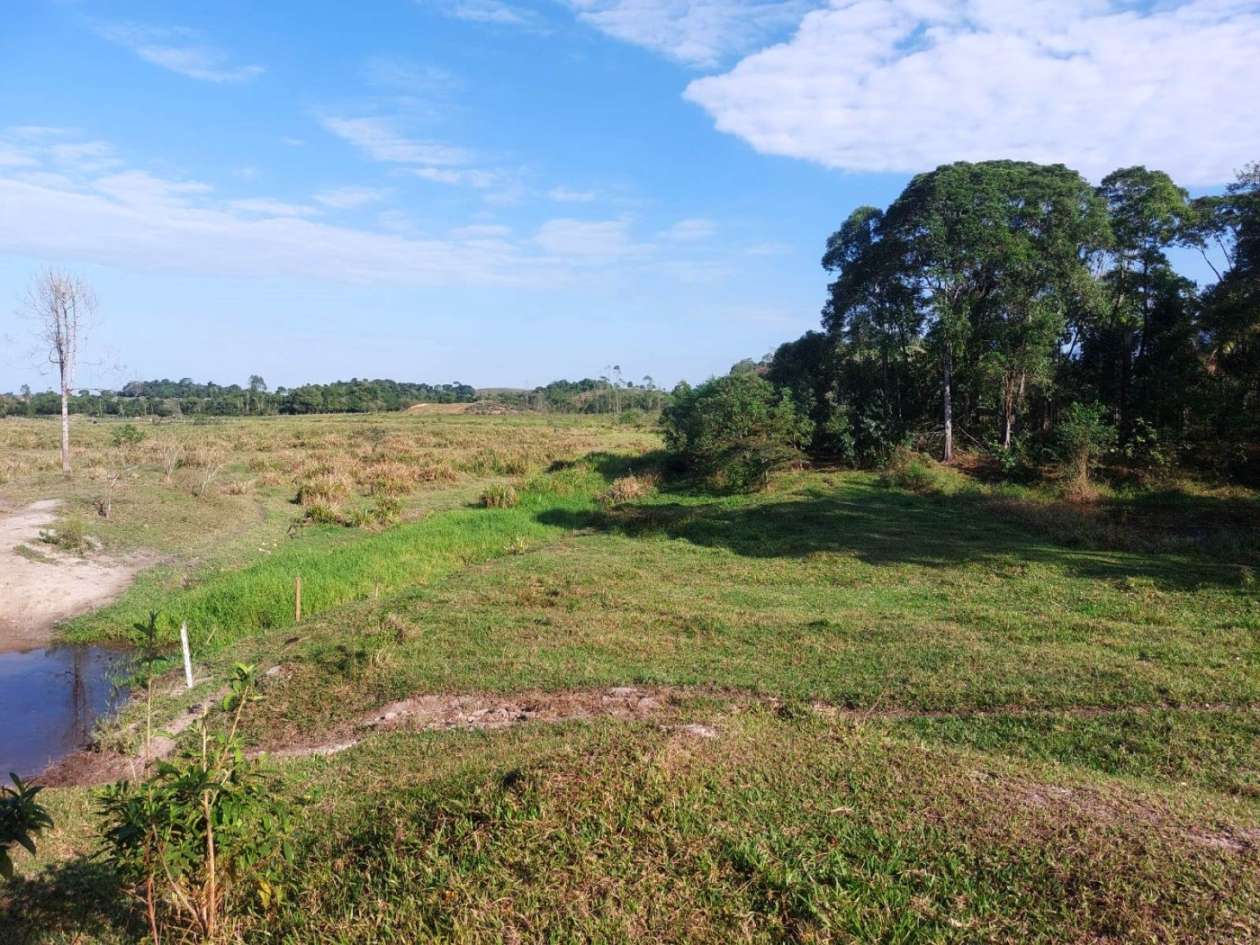 Sítio, 2 quartos, 8 hectares - Foto 18