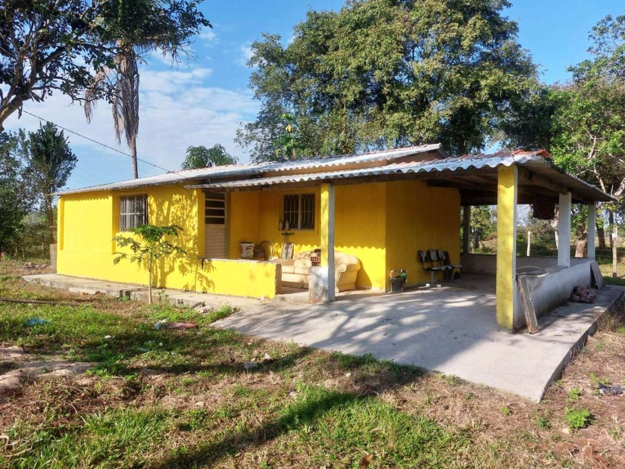 Sítio, 2 quartos, 8 hectares - Foto 14