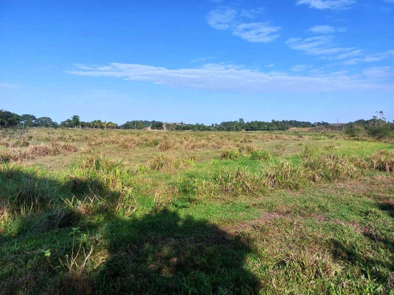 Sítio, 2 quartos, 8 hectares - Foto 20