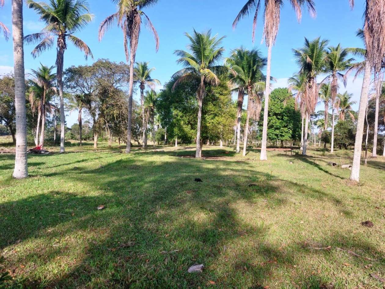 Sítio, 2 quartos, 8 hectares - Foto 25