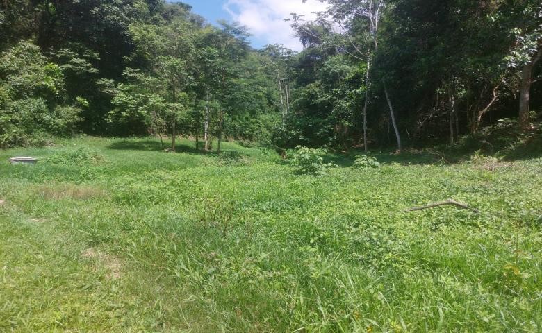 Chácara, 2 quartos, 19 hectares - Foto 5