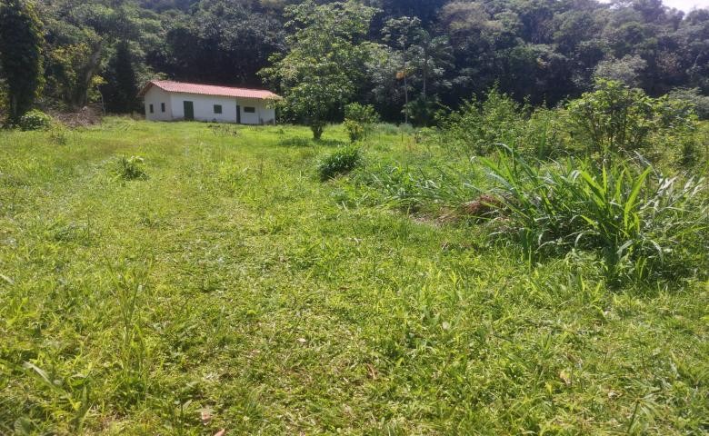 Chácara, 2 quartos, 19 hectares - Foto 6