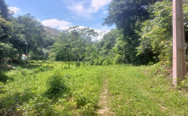 Chácara, 2 quartos, 19 hectares - Foto 2