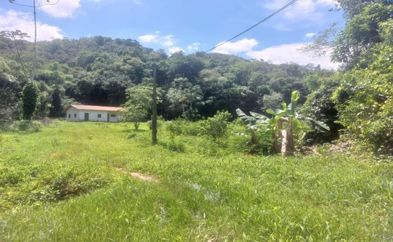 Chácara, 2 quartos, 19 hectares - Foto 4