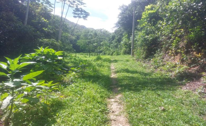 Chácara, 2 quartos, 19 hectares - Foto 9