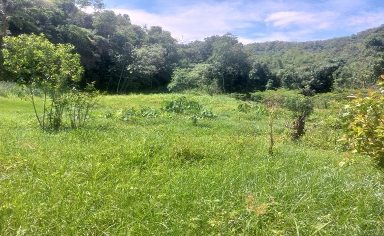 Chácara, 2 quartos, 19 hectares - Foto 8