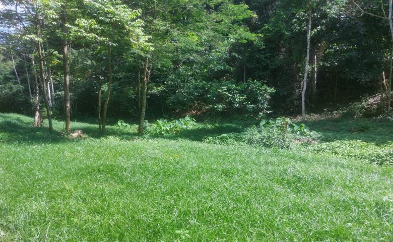 Chácara, 2 quartos, 19 hectares - Foto 3