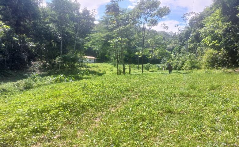 Chácara, 2 quartos, 19 hectares - Foto 10