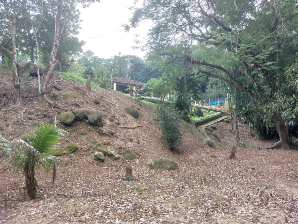 Sítio, 6 quartos, 6 hectares - Foto 10