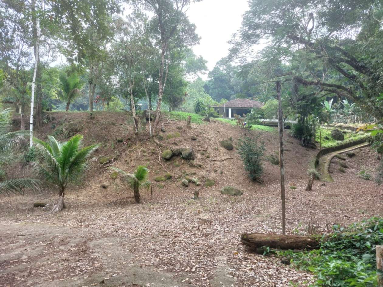 Sítio, 6 quartos, 6 hectares - Foto 9