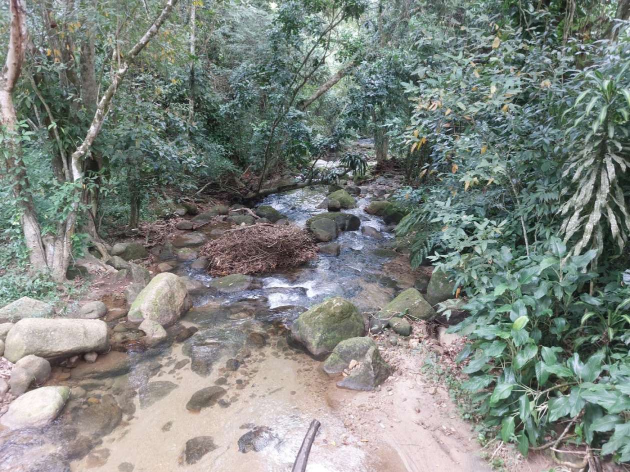 Sítio, 6 quartos, 6 hectares - Foto 5