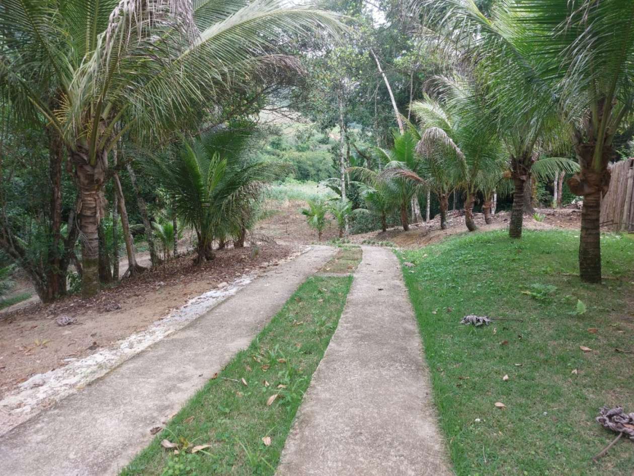 Sítio, 6 quartos, 6 hectares - Foto 13