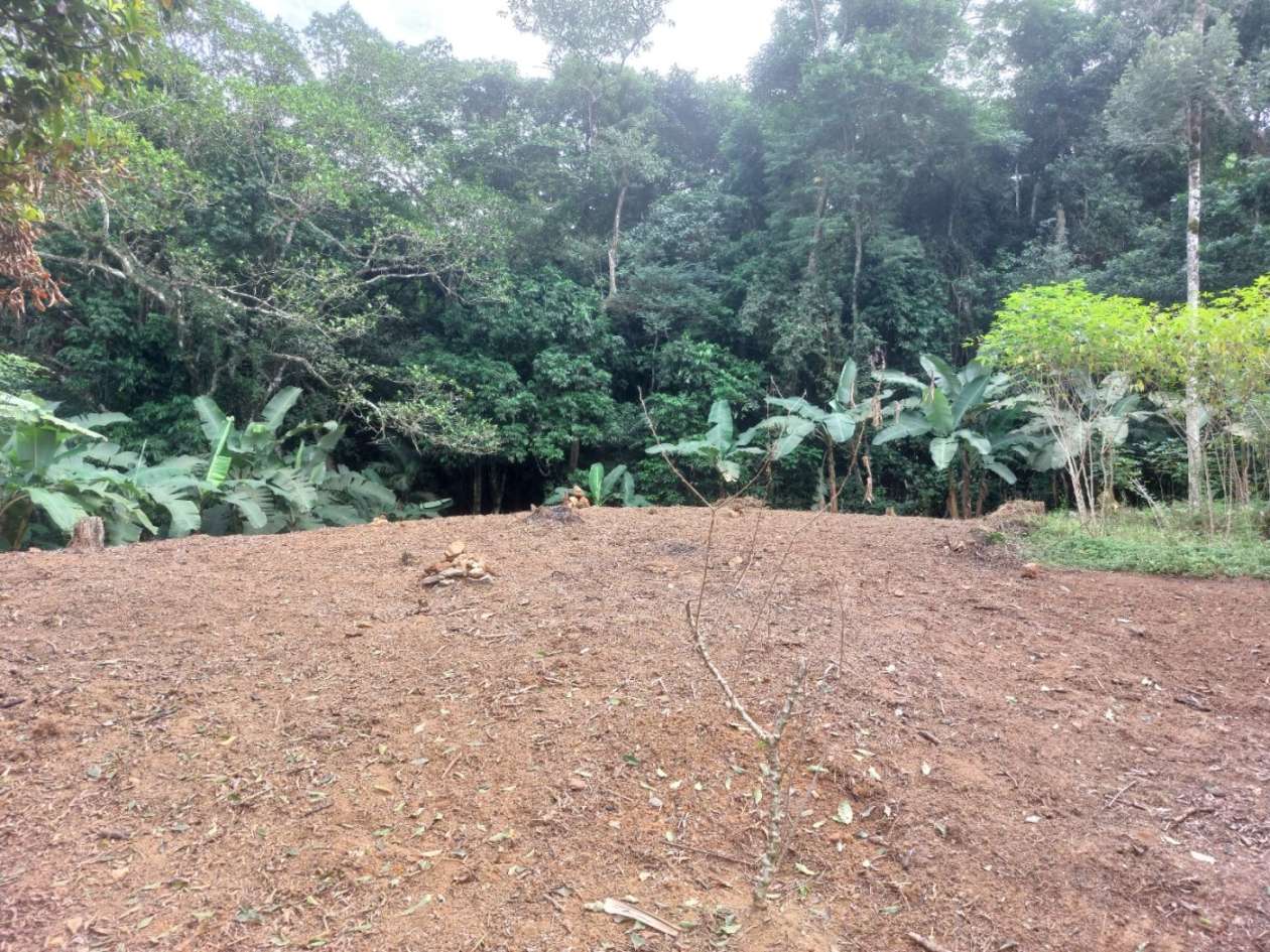 Sítio, 6 quartos, 6 hectares - Foto 15