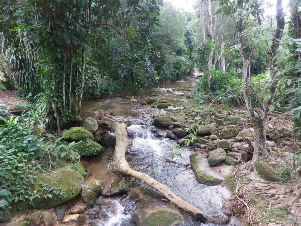 Sítio, 6 quartos, 6 hectares - Foto 19