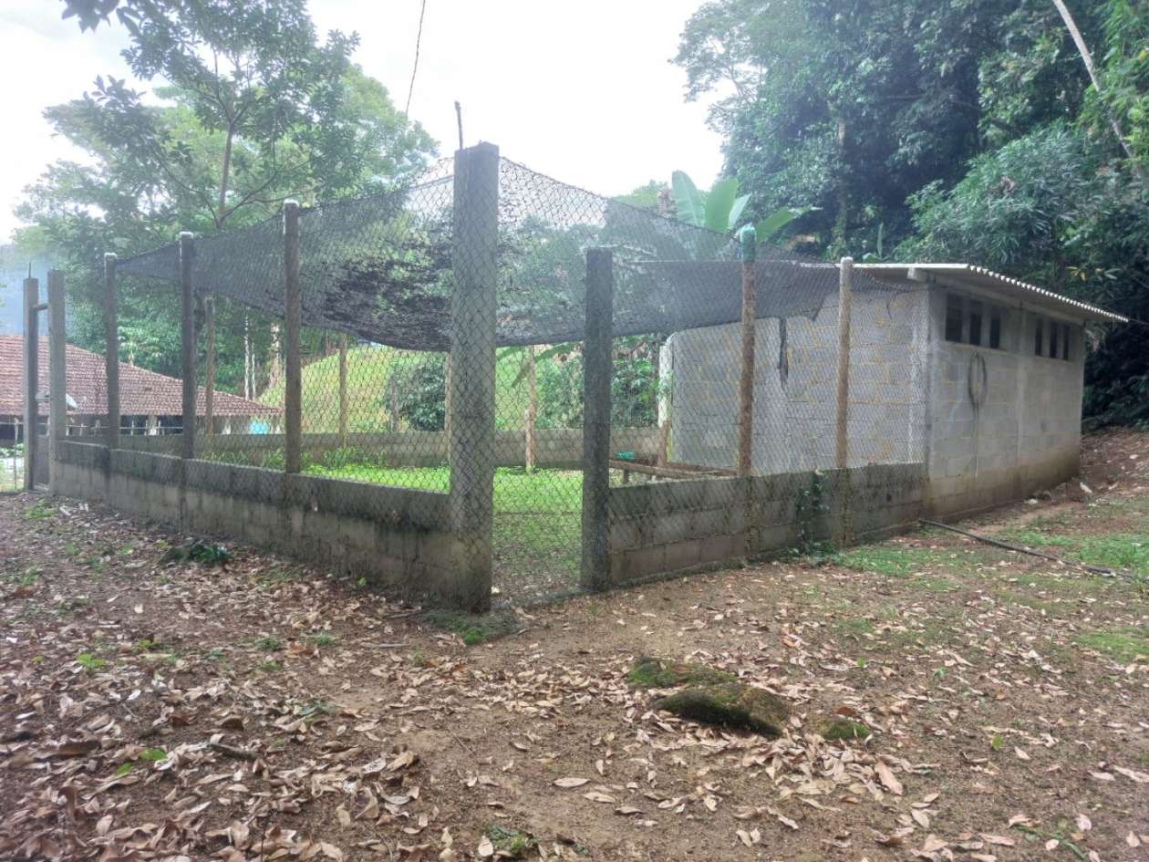 Sítio, 6 quartos, 6 hectares - Foto 8