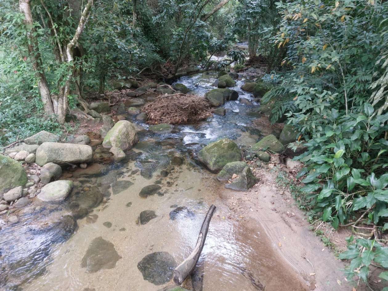 Sítio, 6 quartos, 6 hectares - Foto 20