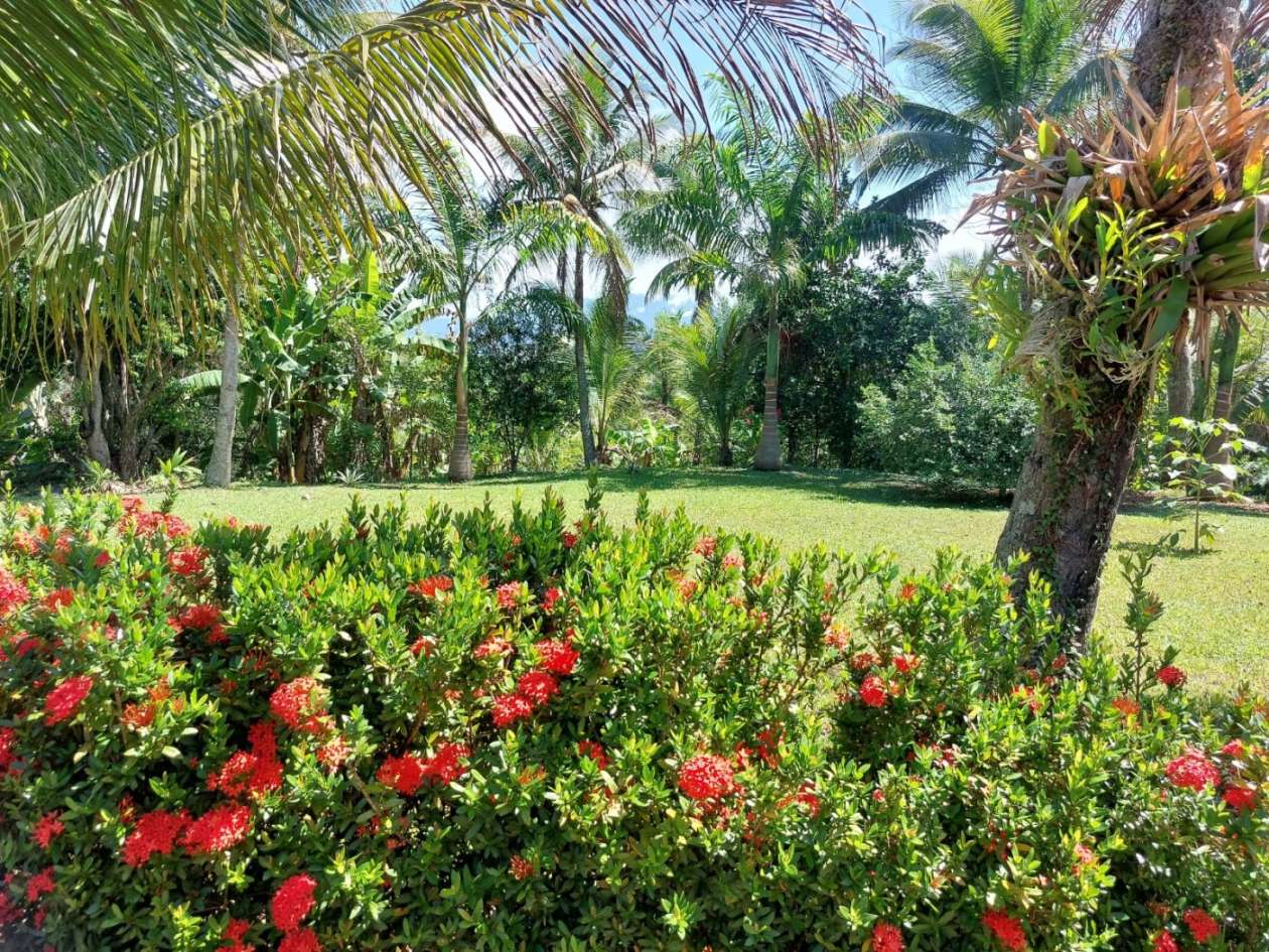 Sítio, 7 quartos, 14 hectares - Foto 19