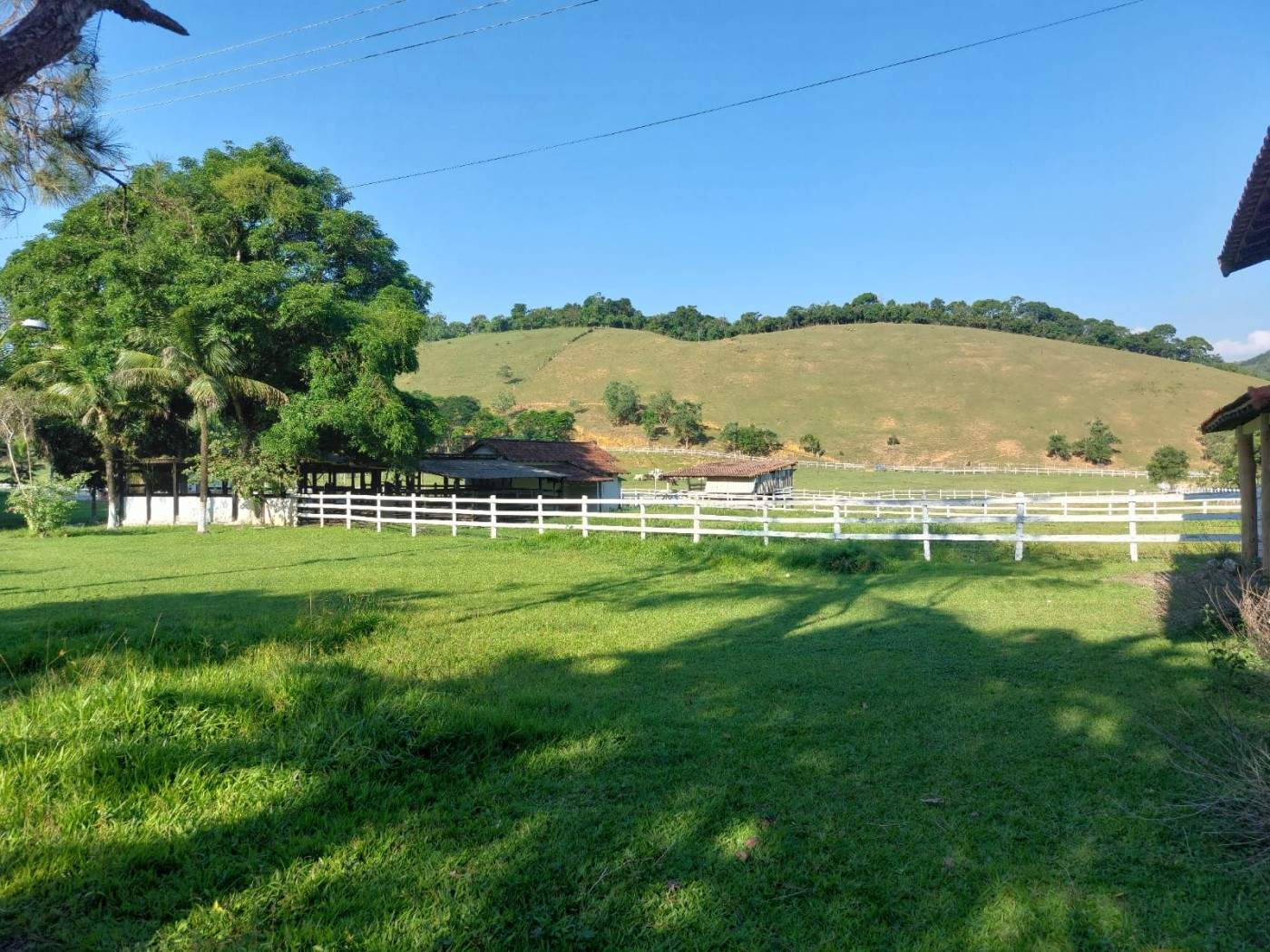 Fazenda, 21 hectares - Foto 1