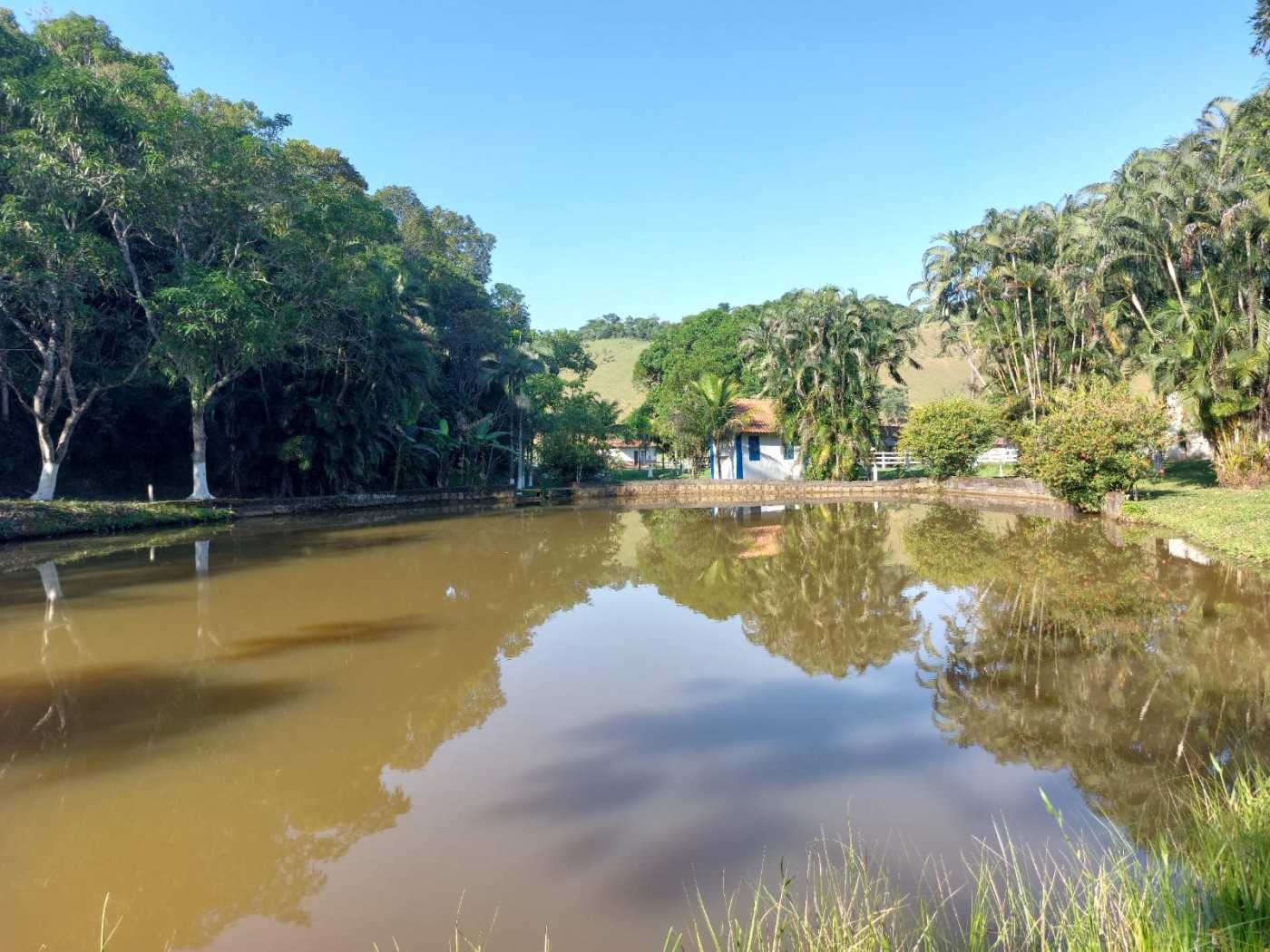 Fazenda, 21 hectares - Foto 3
