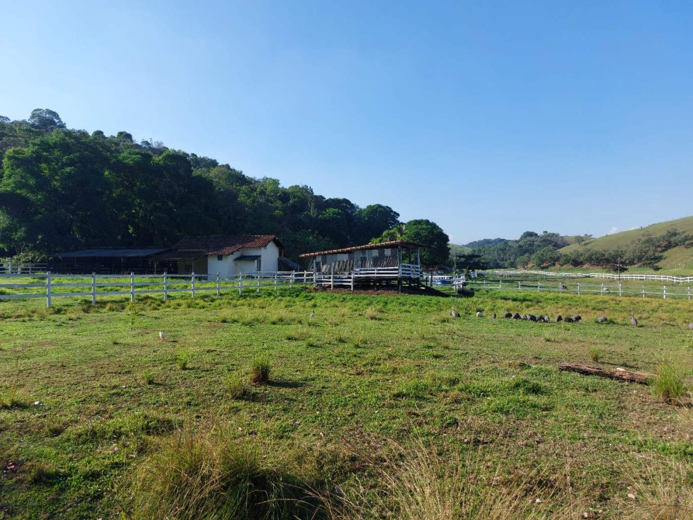 Fazenda, 21 hectares - Foto 4