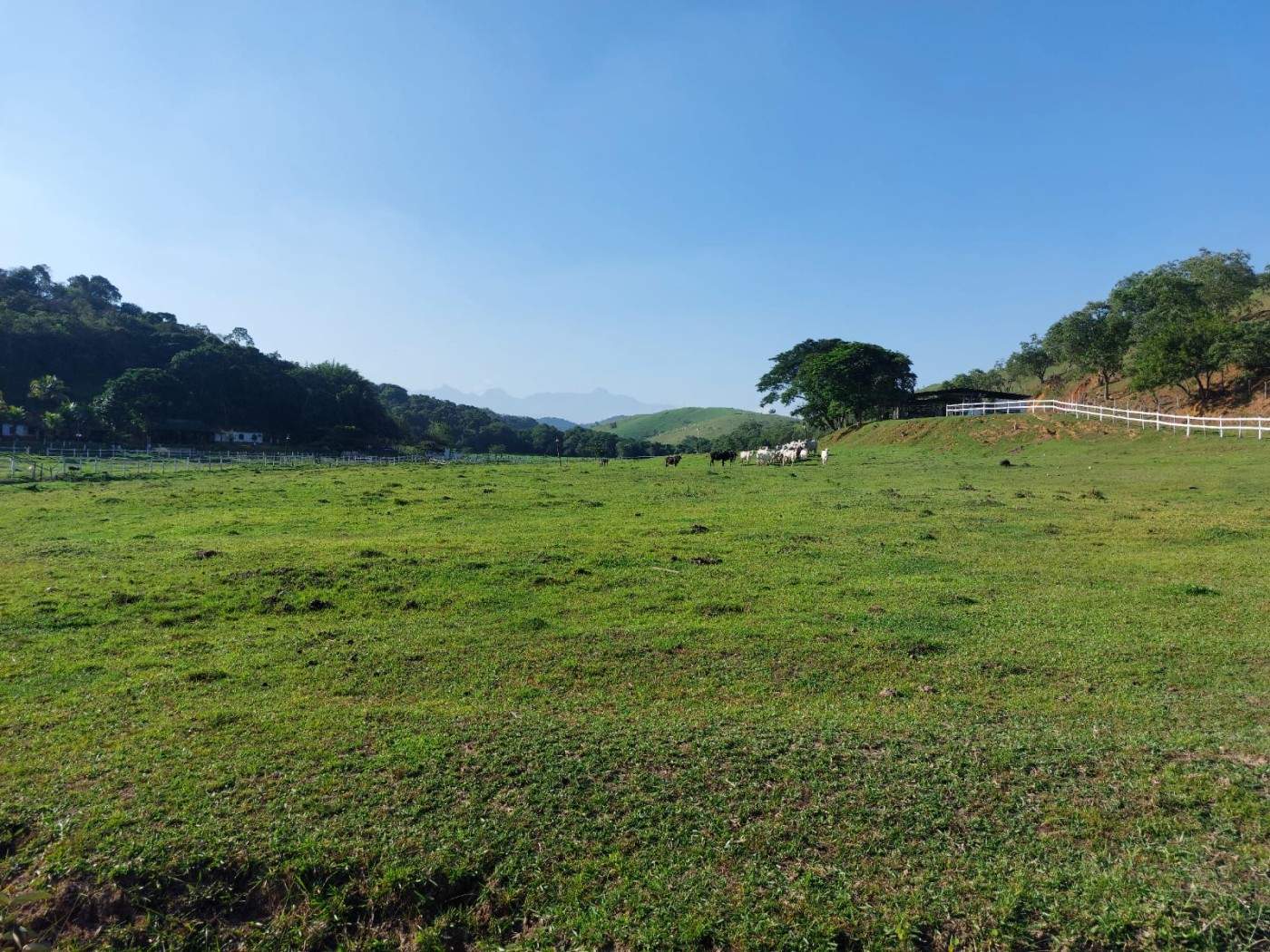 Fazenda, 21 hectares - Foto 6