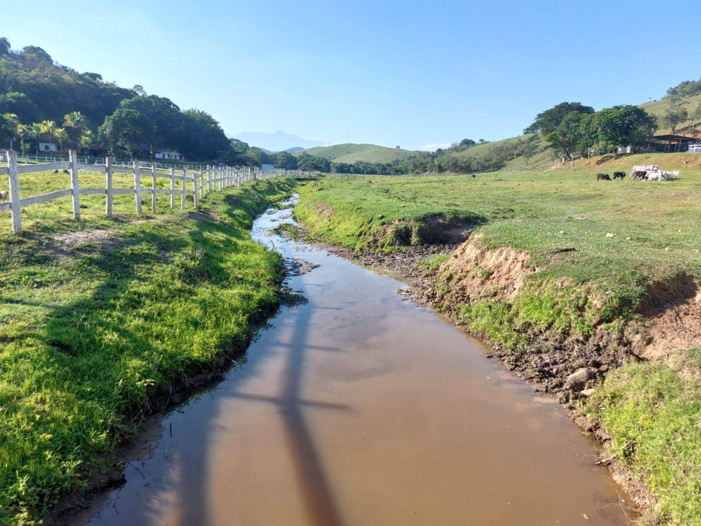 Fazenda, 21 hectares - Foto 5