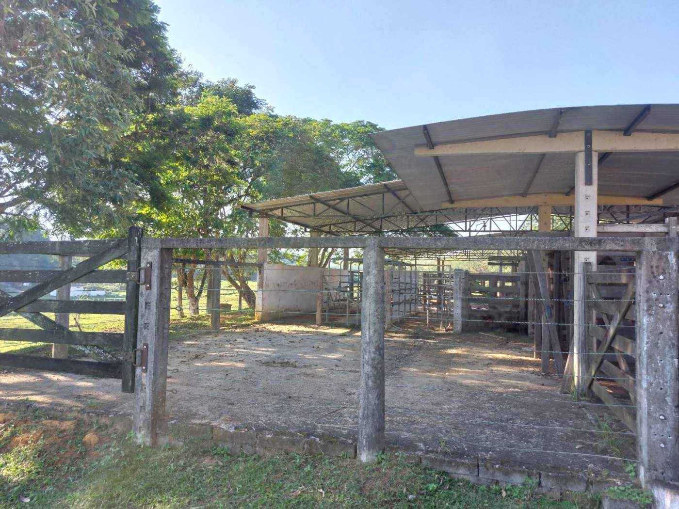 Fazenda, 21 hectares - Foto 8