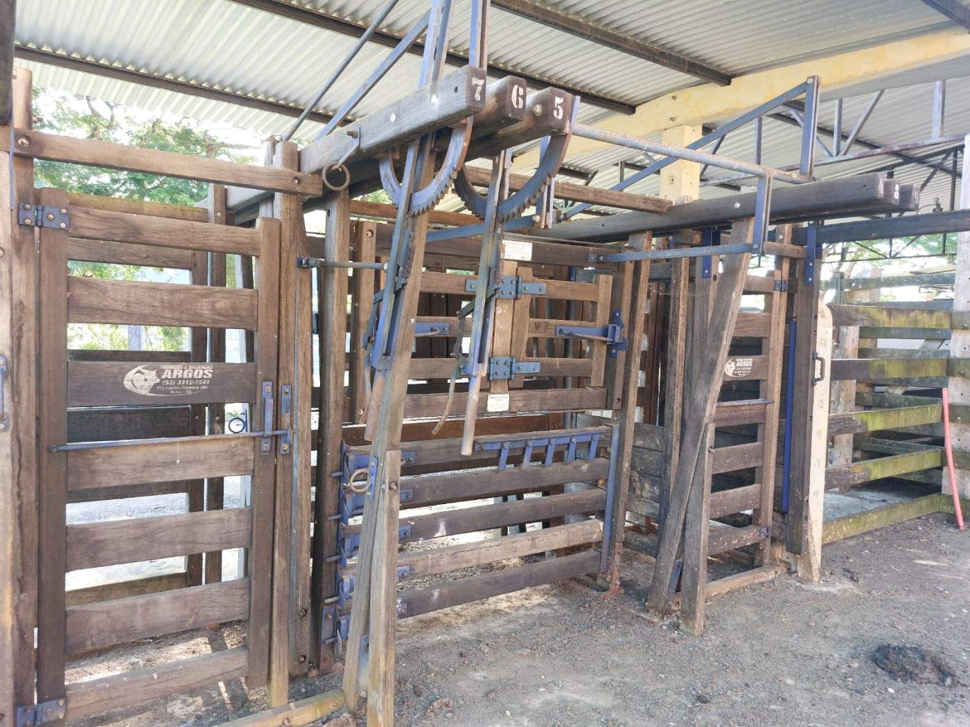 Fazenda, 21 hectares - Foto 11