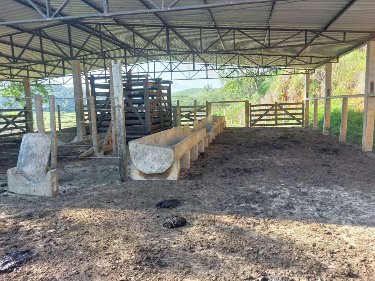 Fazenda, 21 hectares - Foto 10