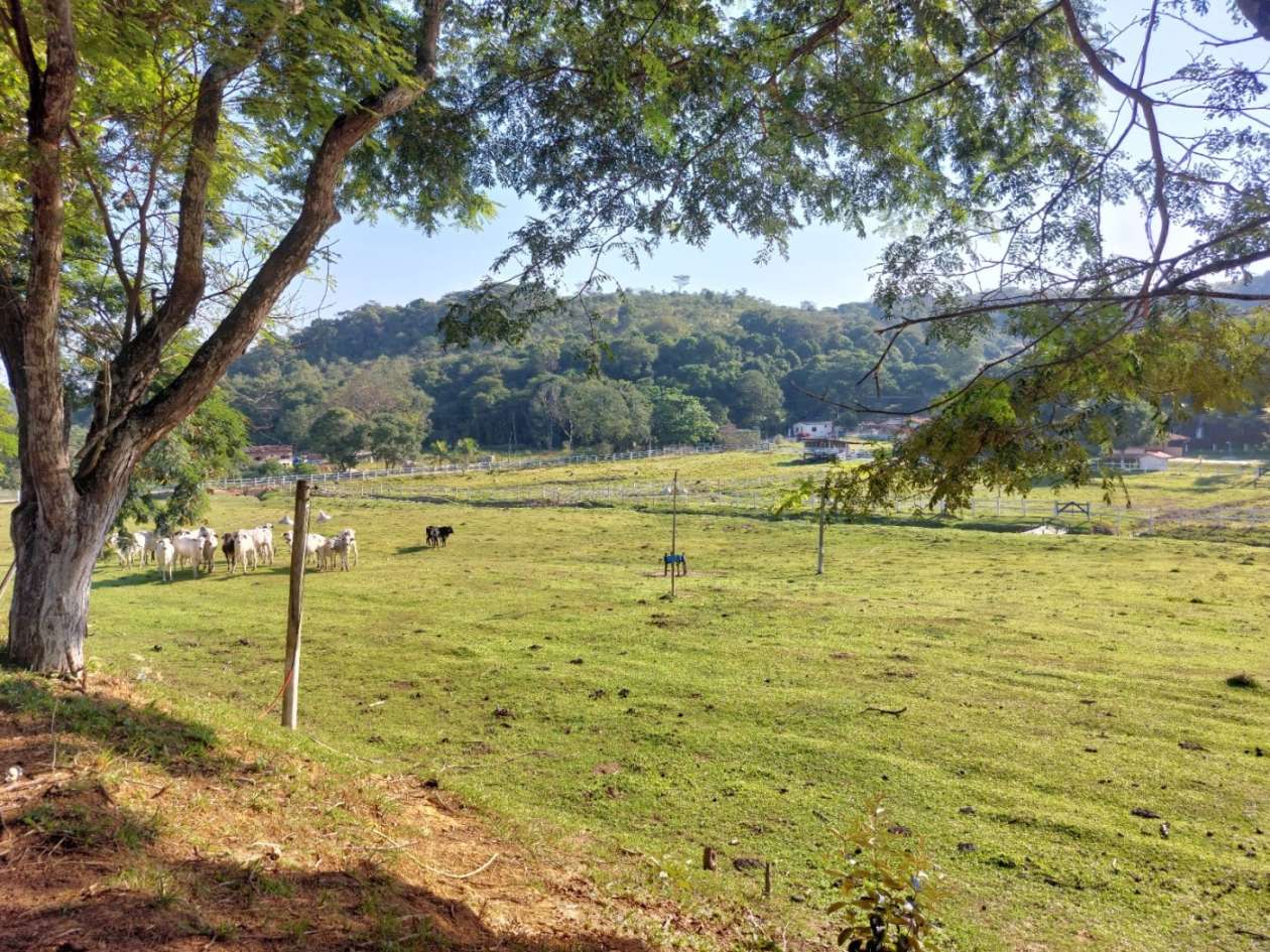 Fazenda, 21 hectares - Foto 13