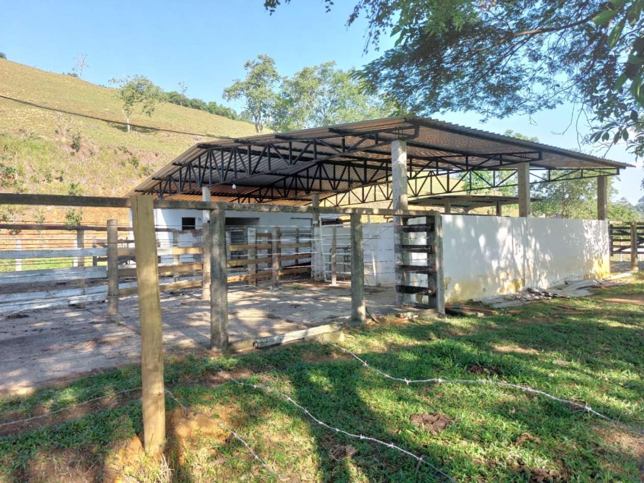 Fazenda, 21 hectares - Foto 12